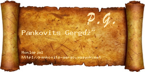 Pankovits Gergő névjegykártya